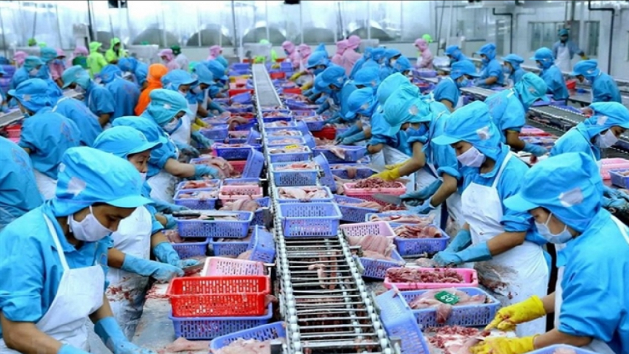 VN-Seafood.jpg
